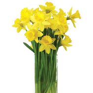 Букет із нарцисів