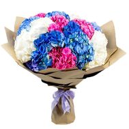 Букет милих гортензій