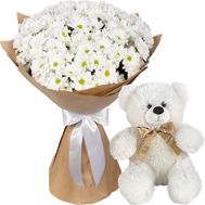 Bouquet of camomiles and Teddy Bear