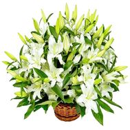 Кошик з 25 лілій
