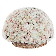 Кошик з 401 троянди