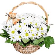 Корзина с белыми хризантемами