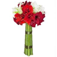 Красивый букет амариллисов