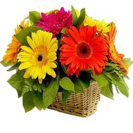 Маленькая корзина с герберами