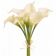 Small bouquet of callas