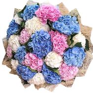 Міксовий букет гортензій