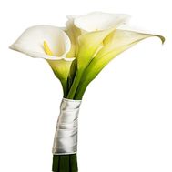 Mini bouquet of callas