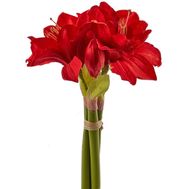 Небольшой букет амариллисов