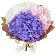 Небольшой букет гортензий