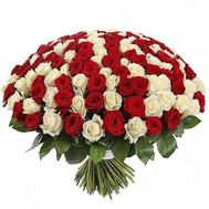 Величезний букет із 201 червоної і білої троянди