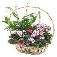 Gift basket with room colors