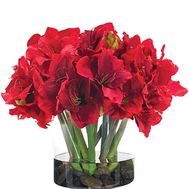 Прекрасный букет амариллисов