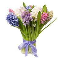 Чудовий букет із гіацинтів