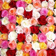 Выберите сами количество, нажав на фото