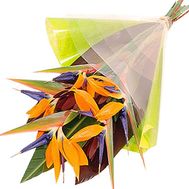 Солнечный букет стрелиций