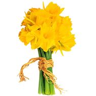 Весняний букет нарцисів
