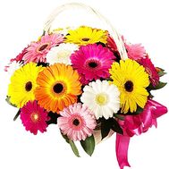 Яркая корзина гербер