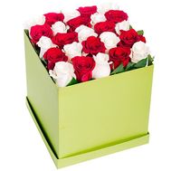 25 червоних і білих троянд в квадратної коробці