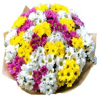 41 різнокольорова хризантема