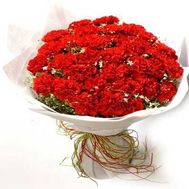 Букет из 65 красных гвоздик с гипсофилой