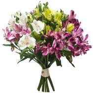 Букет із 13 різнокольорових альстромерій