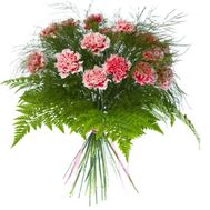 Букет из 17 гвоздик с зеленью