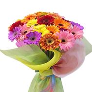 Bouquet of 37 multicolored gerberas
