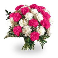 Букет из 25 красных и белых гвоздик