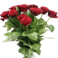 Bouquet of 15 red roses