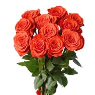 Bouquet of 11 orange roses