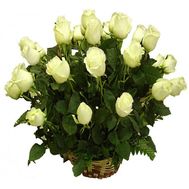 A basket of 21 white roses