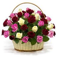Basket of 35 multi-colored roses