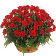 Кошик з 75 червоних троянд