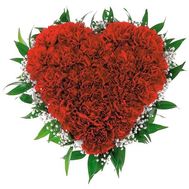 Heart of 25 red carnations with gypsophila
