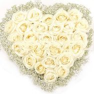 Сердце из 31 белой розы и гипсофилы