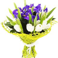 Букет из 6 ирисов и 15 тюльпанов