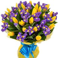 Букет из 25 тюльпанов и 20 ирисов