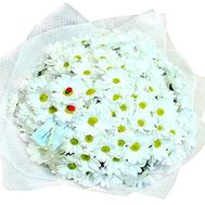 Букет из 23 белых кустовых хризантем