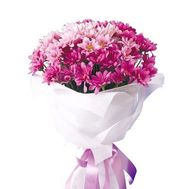 Bouquet of 9 pink chrysanthemums