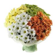 Букет из 33 разноцветных хризантем