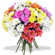 Bouquet of 19 multi-colored chrysanthemums