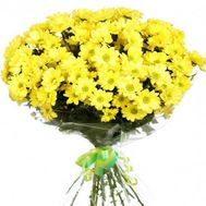 Bouquet of 15 yellow chrysanthemums