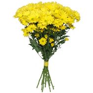 Bouquet of 11 yellow chrysanthemums