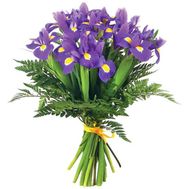Букет из 25 ирисов с зеленью