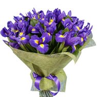 Букет из 45 ирисов