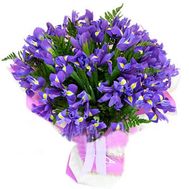 Букет из 51 ириса