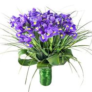 Букет из 37 ирисов