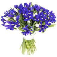 Букет ирисов - Весенние мелодии