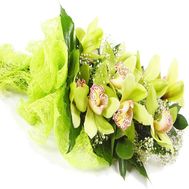 Букет из 1 орхидеи