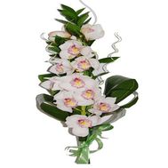 Букет из ветки орхидеи